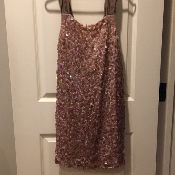 BCBG Maxazria sequin soft pink/plum lovely dress size10 silk needs some mending - Picture 14 of 14